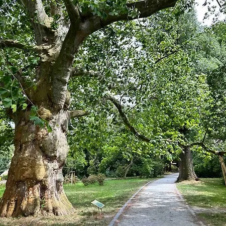 Lejlighed Hitorischer Charme In Top-altstadtlage - Fewos Anno 1529