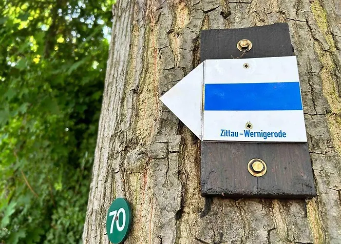 Hitorischer Charme In Top-altstadtlage - Fewos Anno 1529 شقة