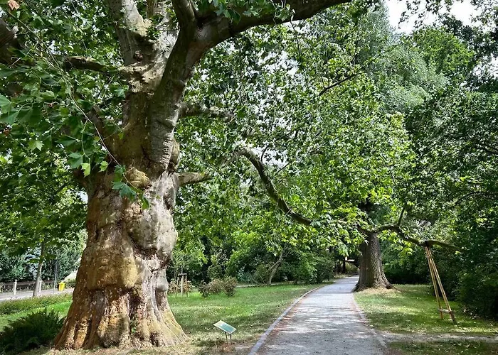 شقة Hitorischer Charme In Top-altstadtlage - Fewos Anno 1529