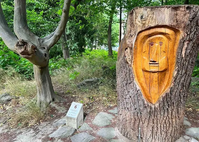 Hitorischer Charme In Top-altstadtlage - Fewos Anno 1529 Apartment